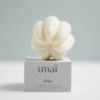 The solid gentle shampoo from Umaï
